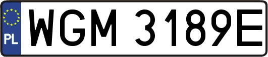 WGM3189E