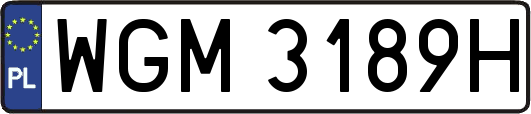 WGM3189H
