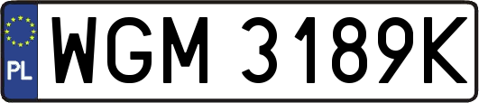 WGM3189K