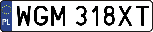 WGM318XT