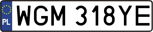 WGM318YE