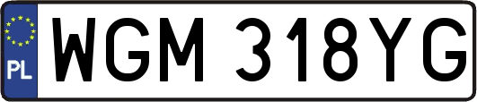 WGM318YG