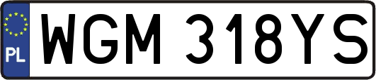 WGM318YS