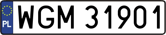 WGM31901