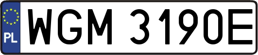 WGM3190E