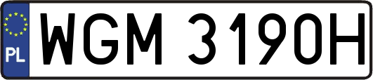 WGM3190H