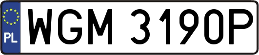 WGM3190P