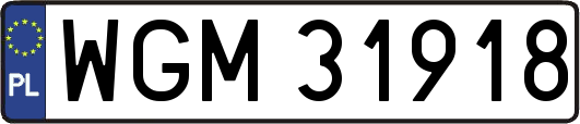WGM31918