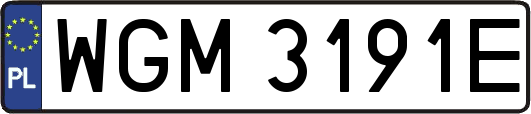 WGM3191E