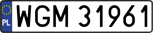 WGM31961