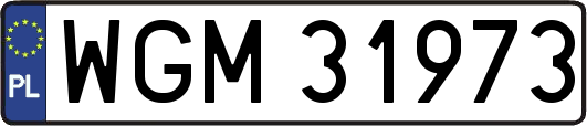 WGM31973