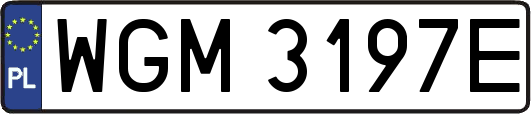 WGM3197E