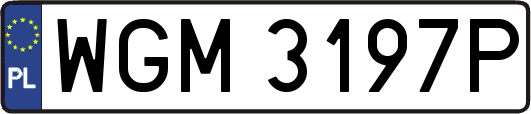 WGM3197P