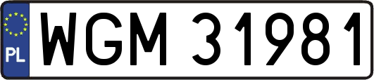 WGM31981