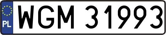WGM31993
