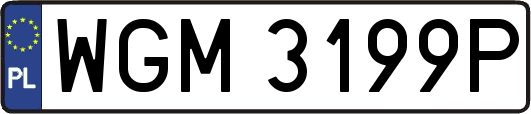WGM3199P