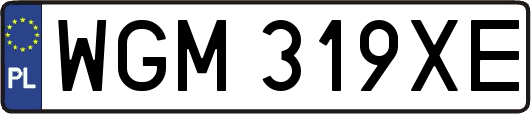 WGM319XE