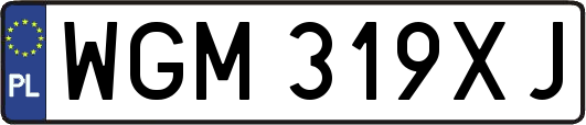 WGM319XJ