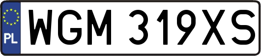WGM319XS