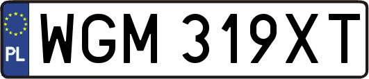 WGM319XT