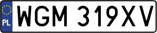 WGM319XV