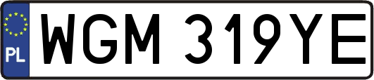 WGM319YE