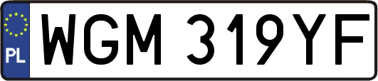 WGM319YF