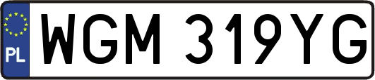 WGM319YG