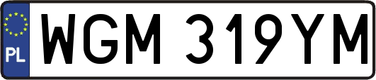 WGM319YM