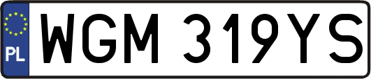 WGM319YS