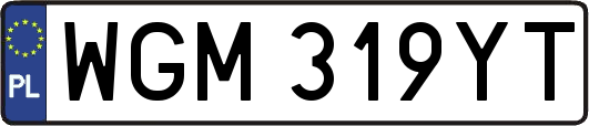 WGM319YT