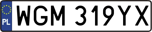 WGM319YX