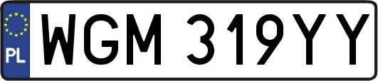 WGM319YY