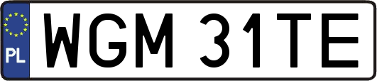 WGM31TE