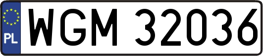 WGM32036