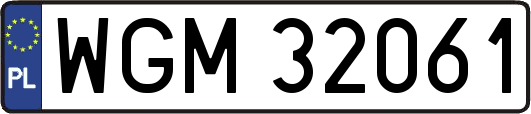 WGM32061