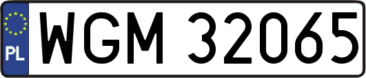 WGM32065