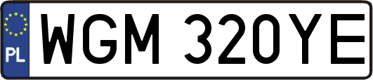 WGM320YE