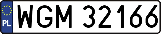 WGM32166