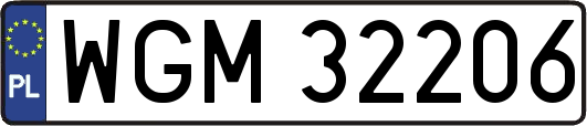 WGM32206