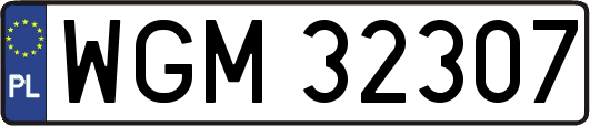 WGM32307