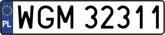 WGM32311