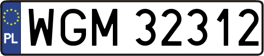 WGM32312