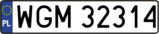 WGM32314