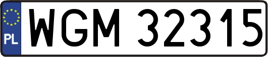 WGM32315