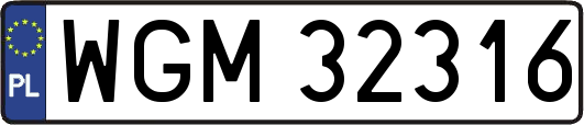 WGM32316