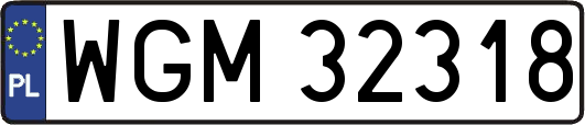 WGM32318