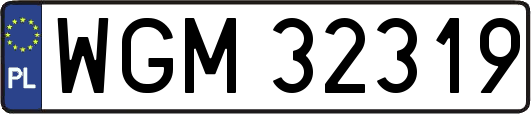 WGM32319