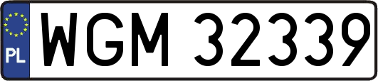 WGM32339