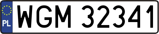 WGM32341